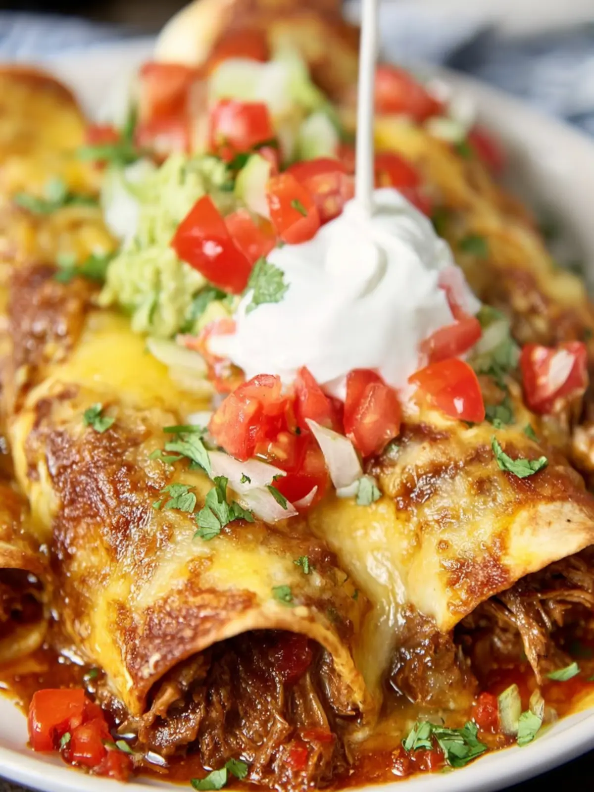 Brisket Enchiladas First Image